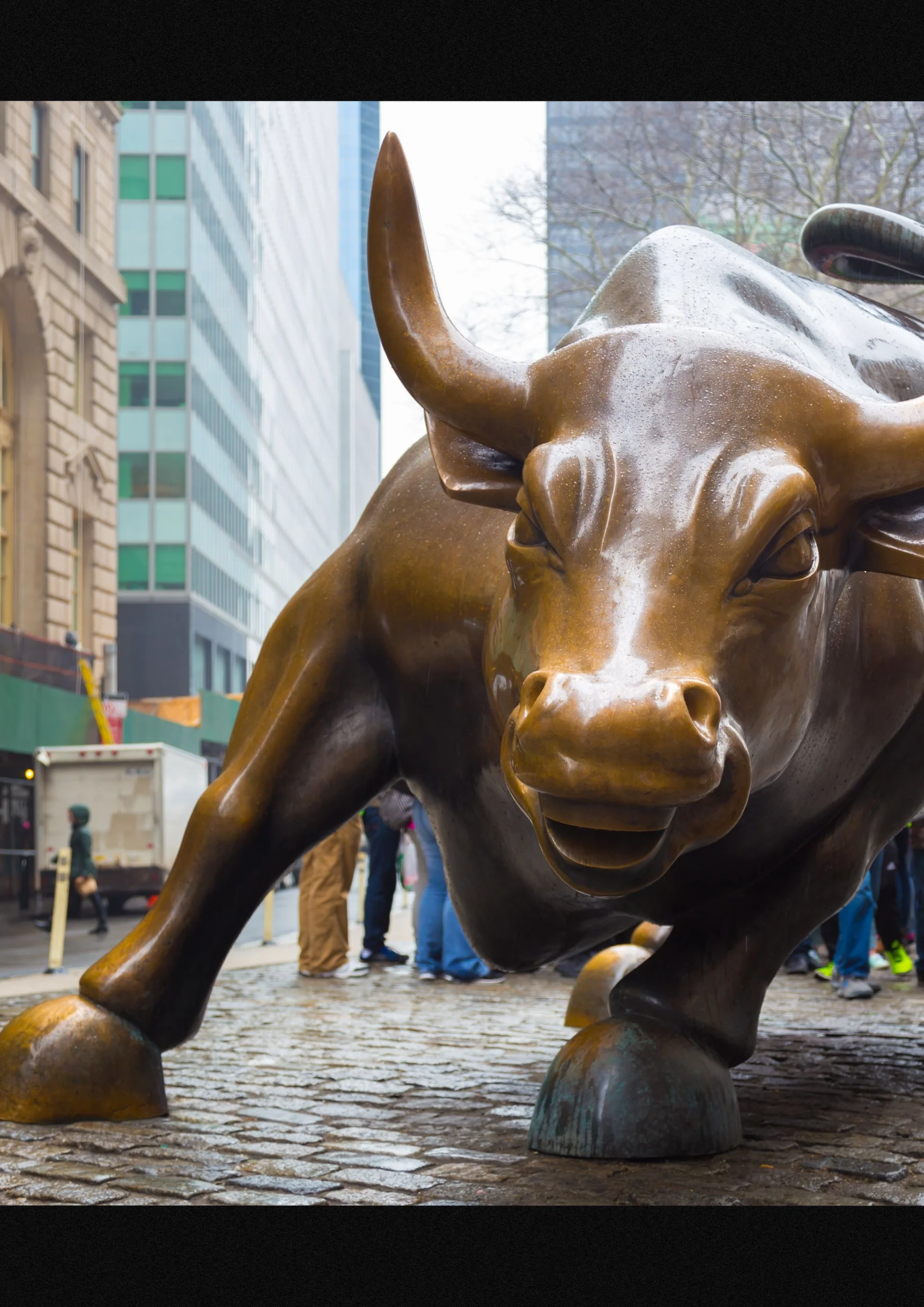 bullish1